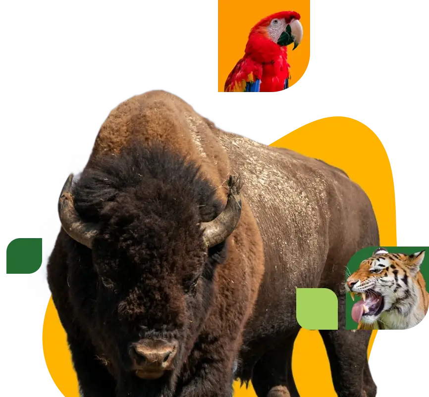 Familia visitando el zoológico